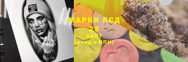 трава Аркадак