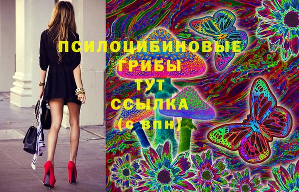 трава Аркадак